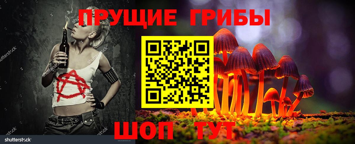 Верхняя Пышма  Галлюциногенные грибы прущие грибы  Вход с VPN 
